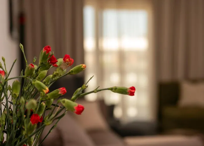 Porta Mare Resort & Spa Apartament Dziwnow